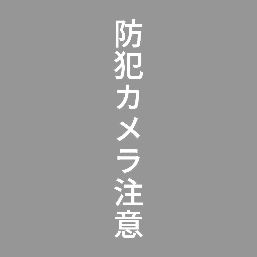 防犯カメラ注意 縦