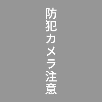 防犯カメラ注意 縦