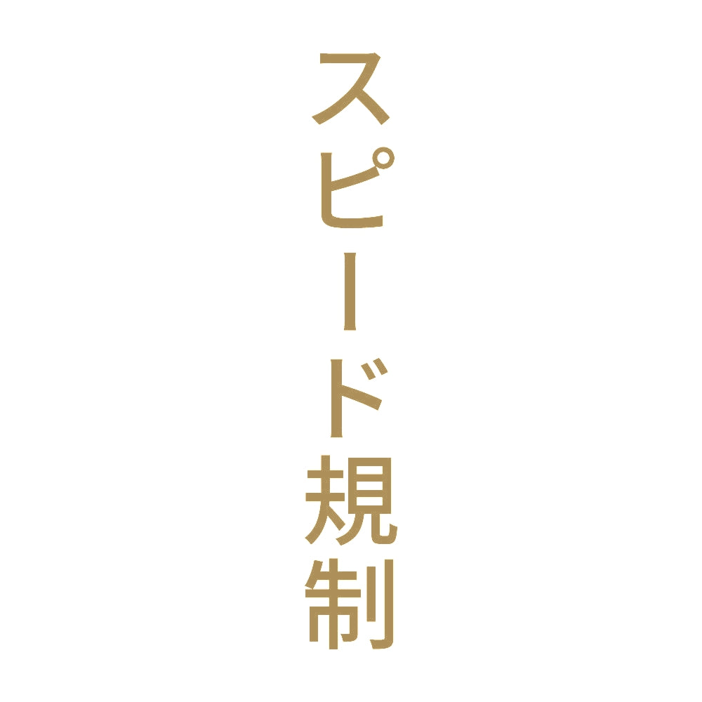 スピード規制 縦