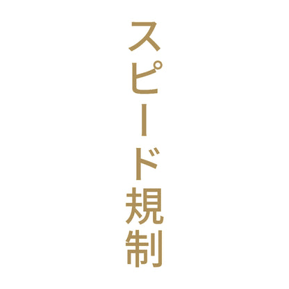 スピード規制 縦