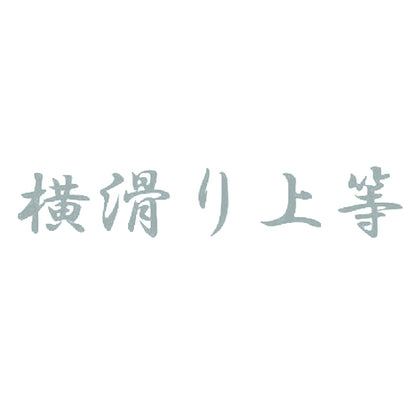 横滑り上等 10