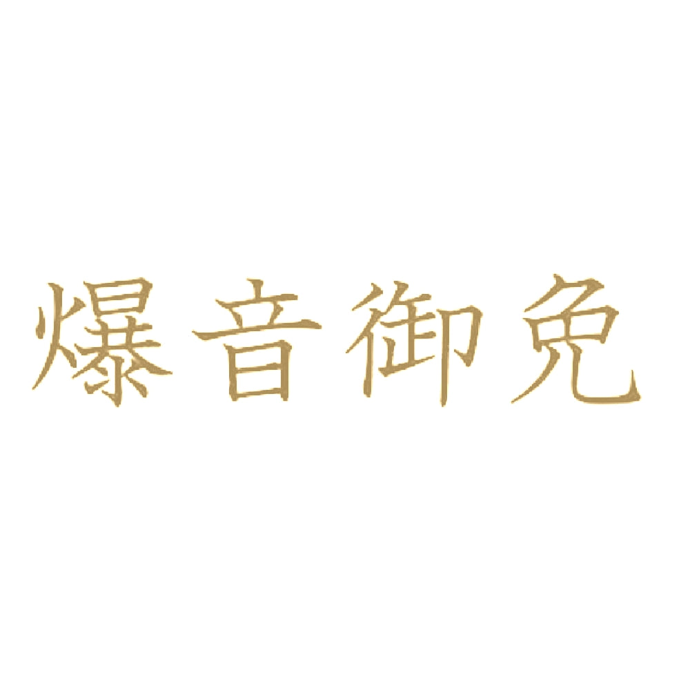 爆音御免 9