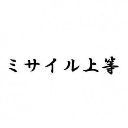 ミサイル上等