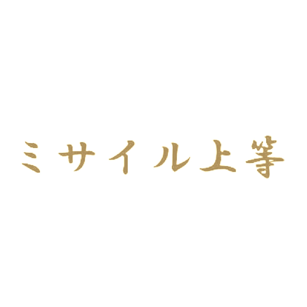 ミサイル上等 9