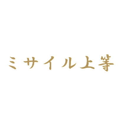 ミサイル上等 9