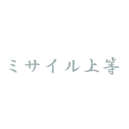 ミサイル上等 10