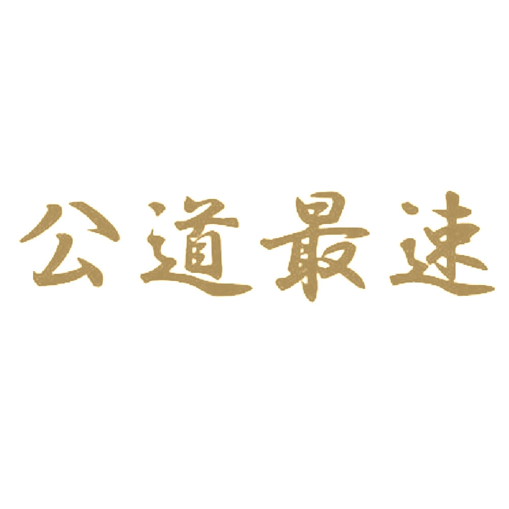 公道最速 9