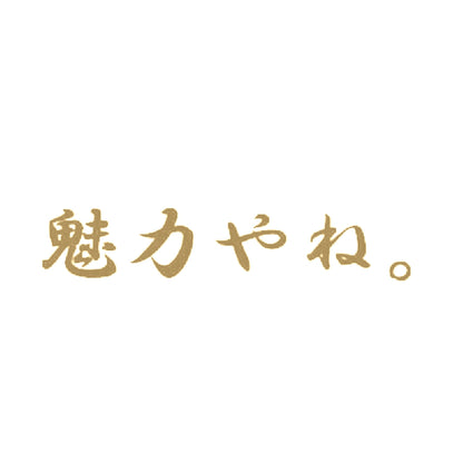 魅力やね 9
