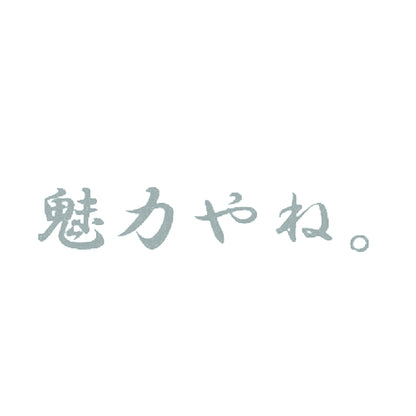 魅力やね 10
