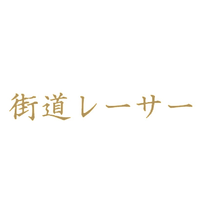 街道レーサー 9