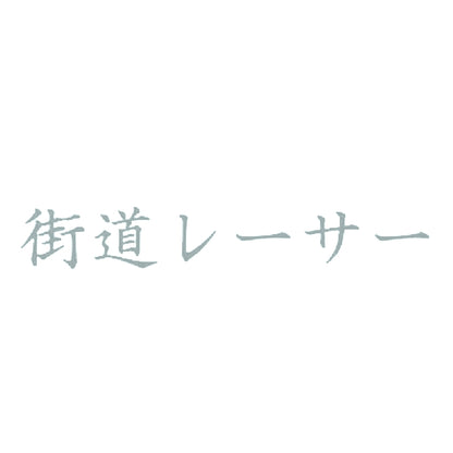 街道レーサー 10