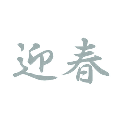 迎春 10