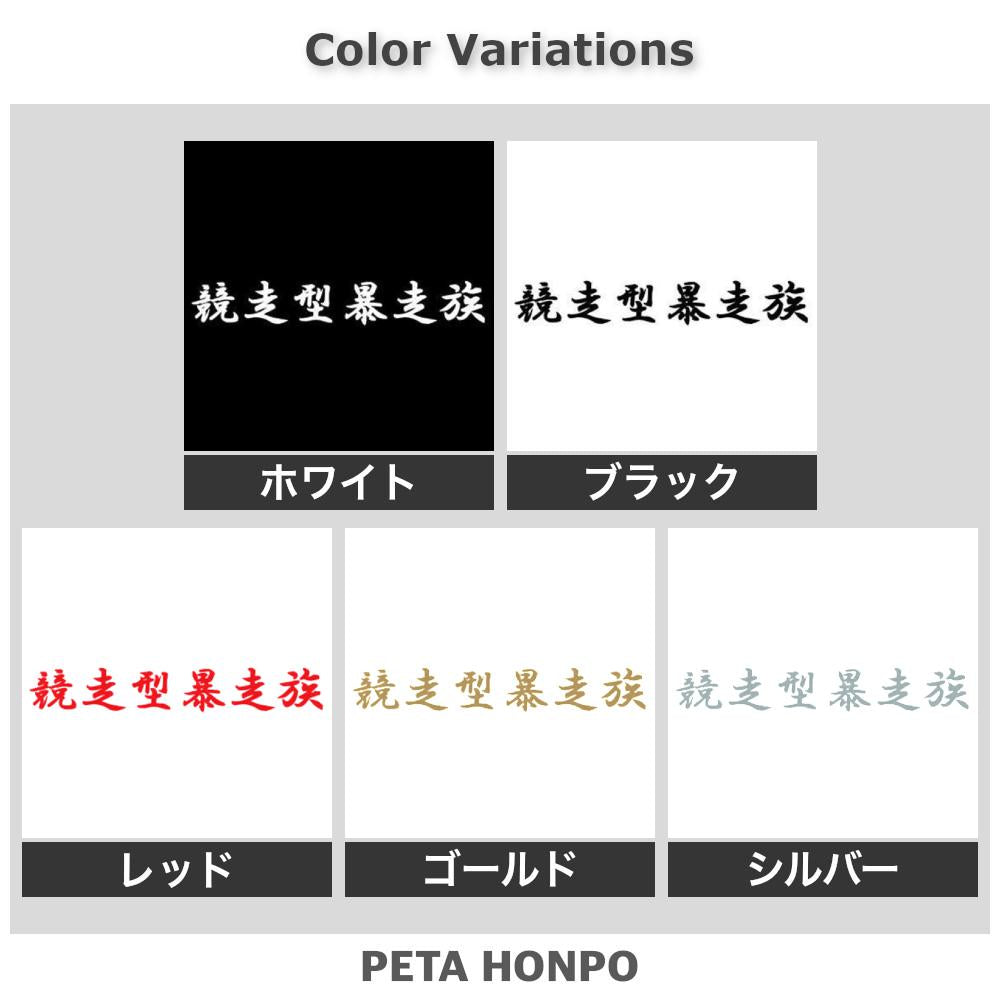 競走型暴走族 2