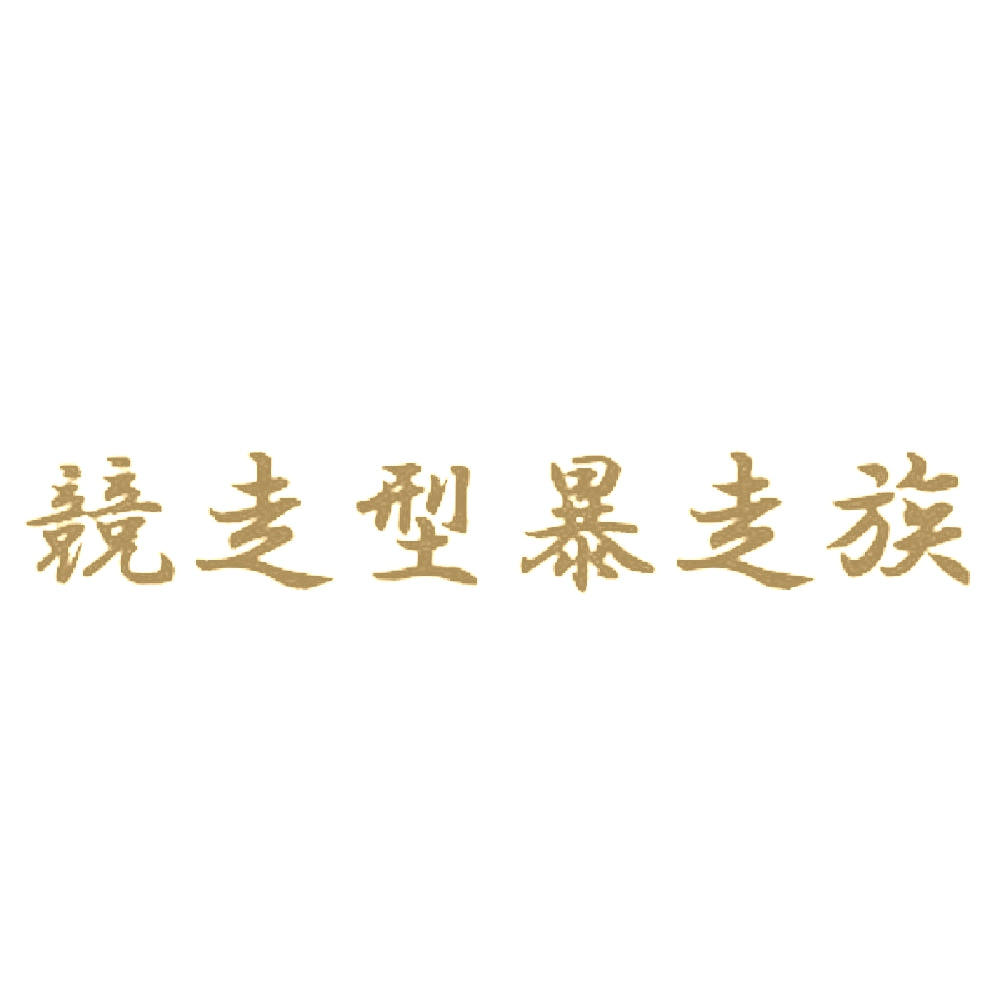 競走型暴走族 9
