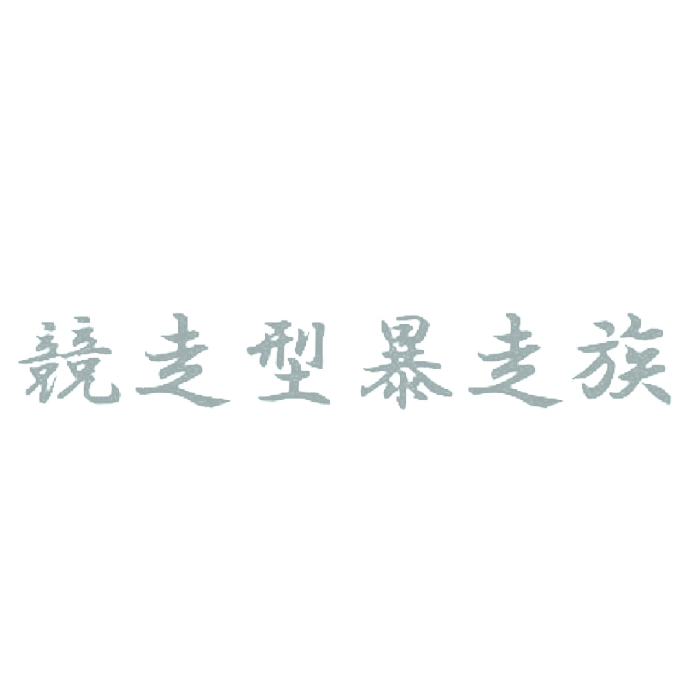 競走型暴走族 10