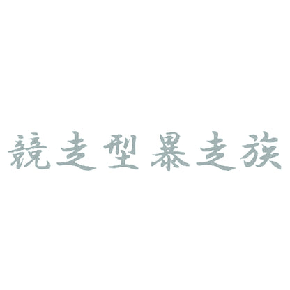 競走型暴走族 10