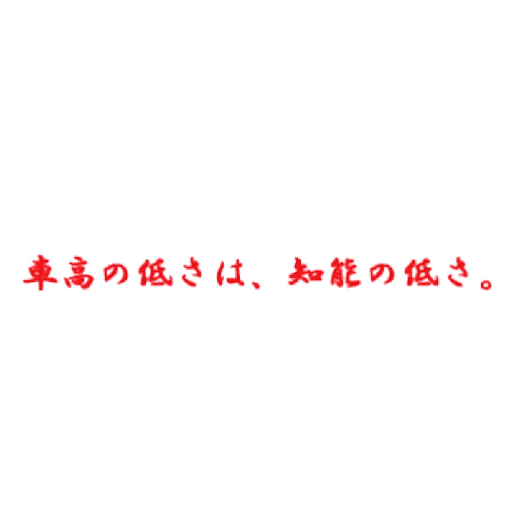 車高の低さは、知能の低さ。 8