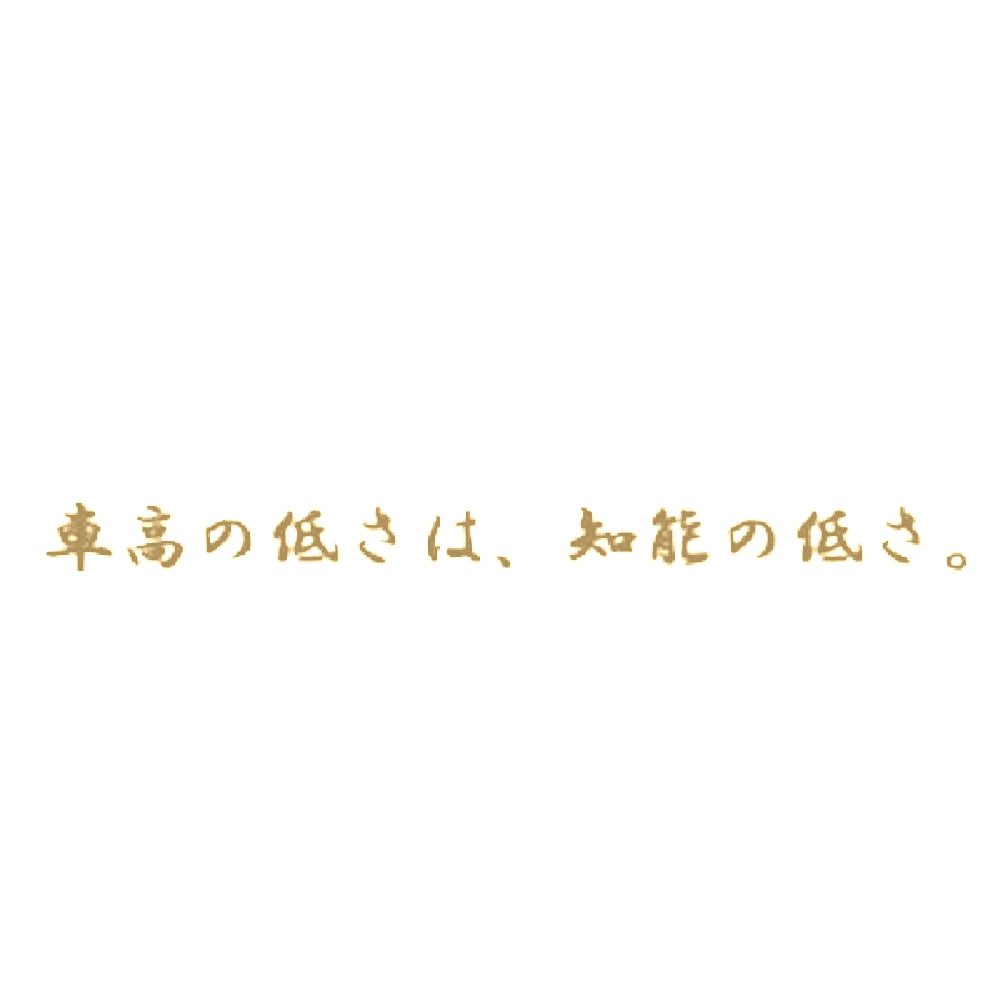 車高の低さは、知能の低さ。 9