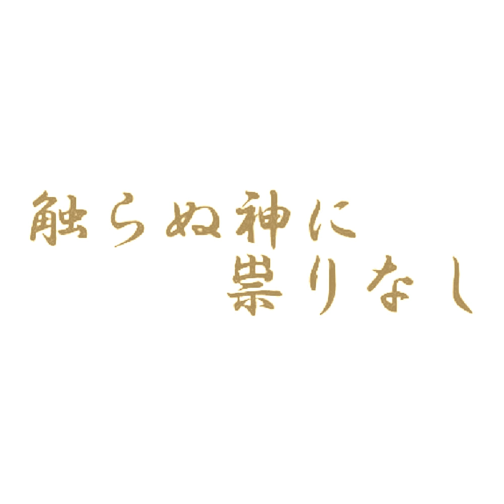 触らぬ神に祟りなし 9