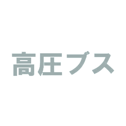 高圧ブス 10