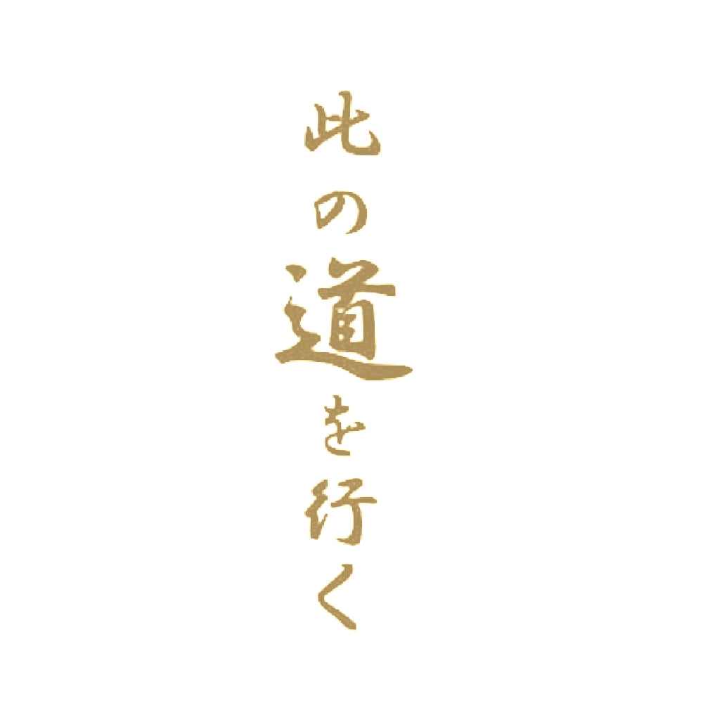 此の道を行く 9