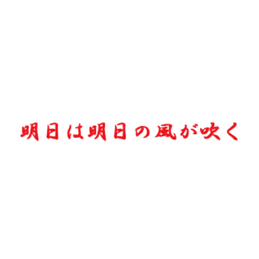 明日は明日の風が吹く 8