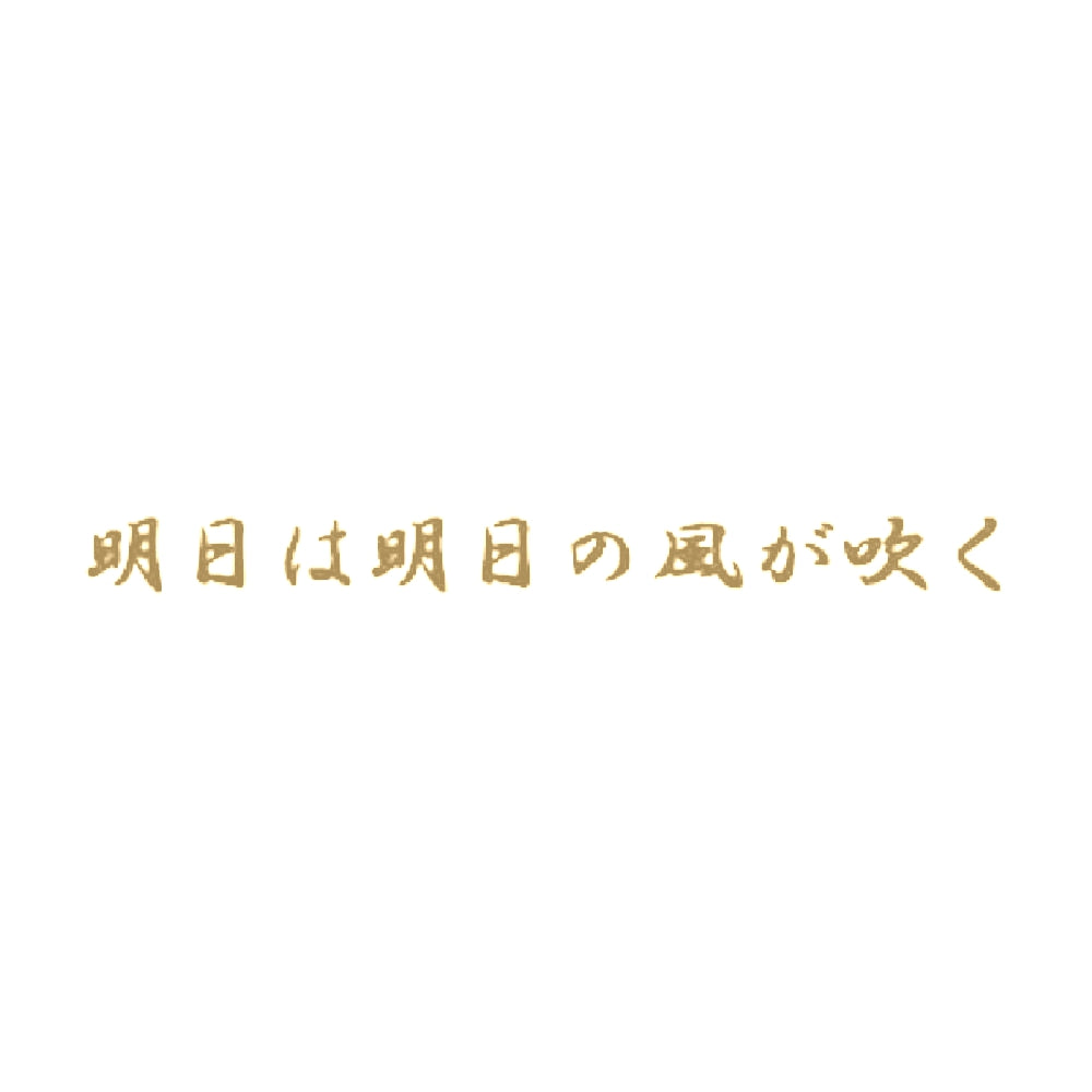 明日は明日の風が吹く 9