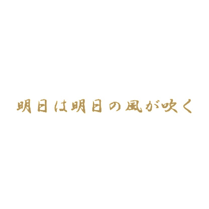明日は明日の風が吹く 9
