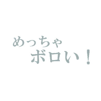 めっちゃボロい！ 10