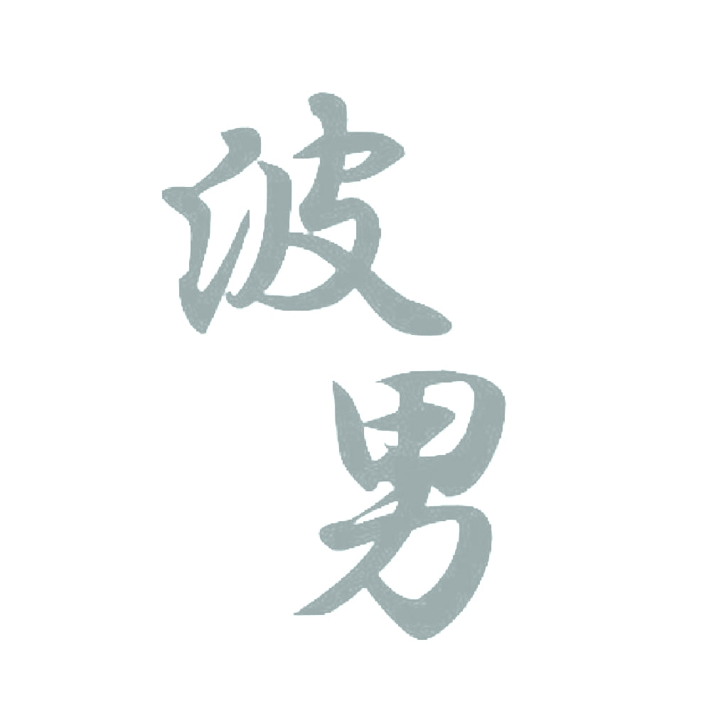 波男 10