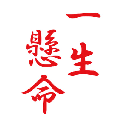 一生懸命 8
