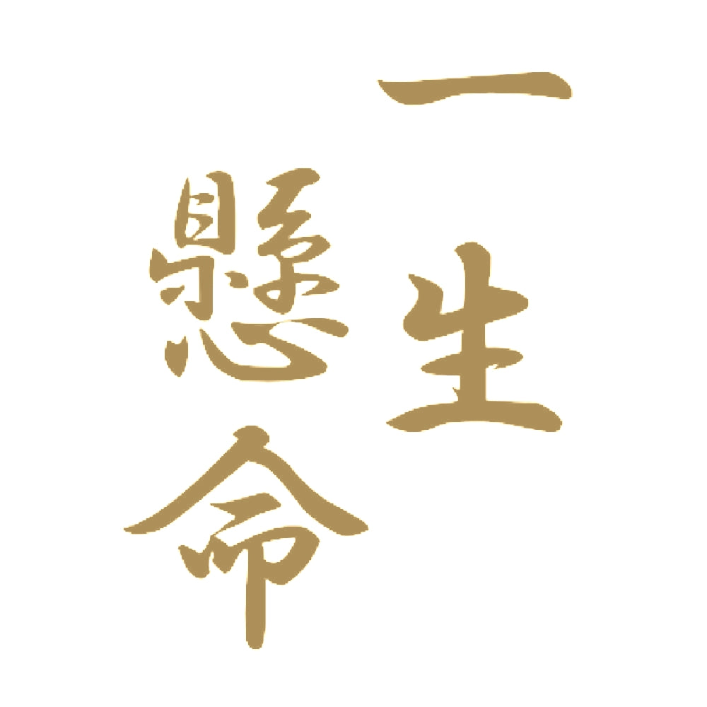 一生懸命 9