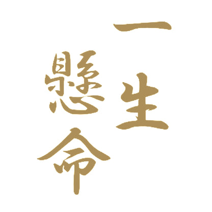 一生懸命 9