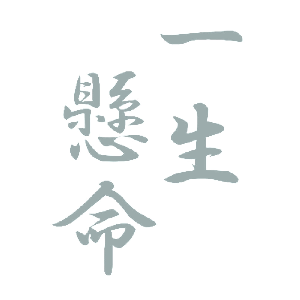 一生懸命 10
