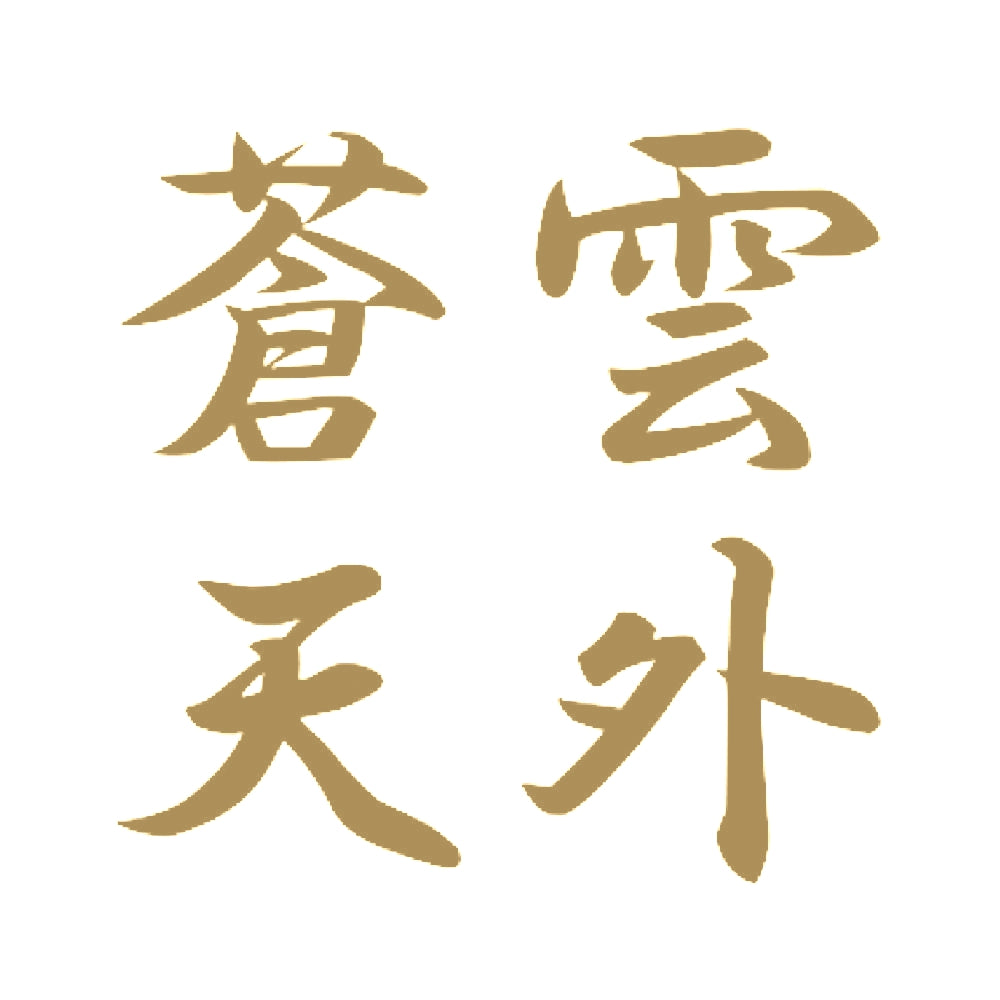 雲外蒼天 9