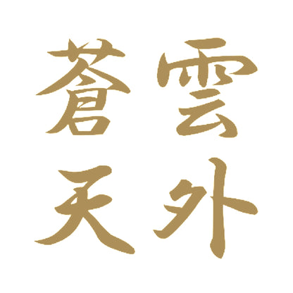 雲外蒼天 9