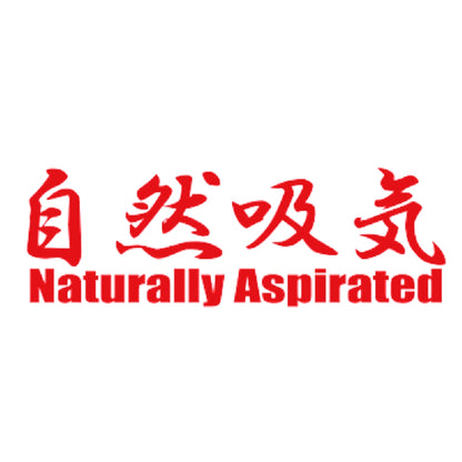 自然吸気 Naturally Aspirated 8