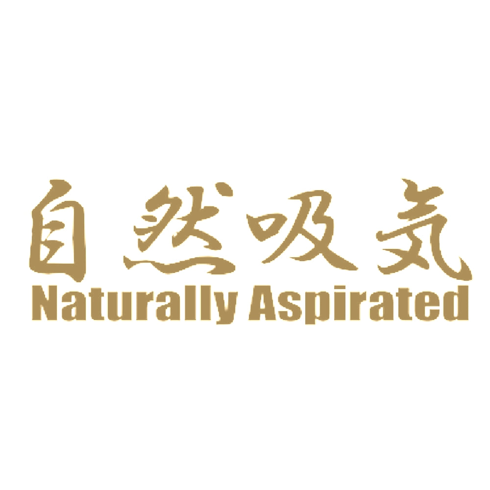 自然吸気 Naturally Aspirated 9