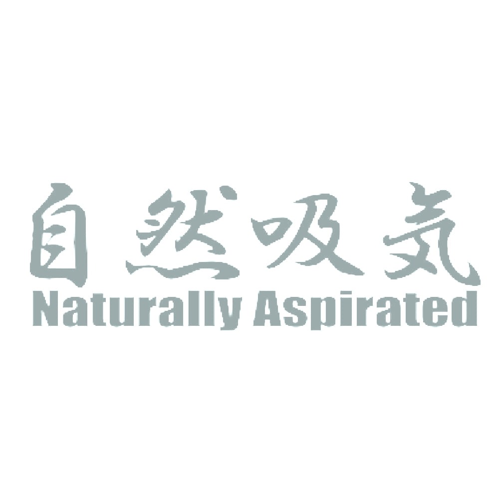 自然吸気 Naturally Aspirated 10