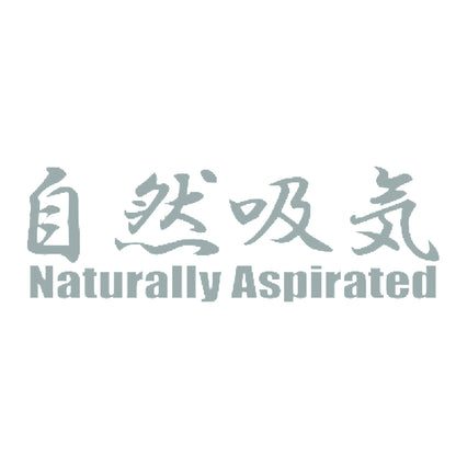 自然吸気 Naturally Aspirated 10