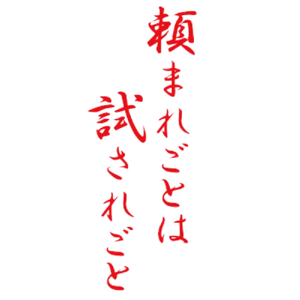 頼まれごとは試されごと 8