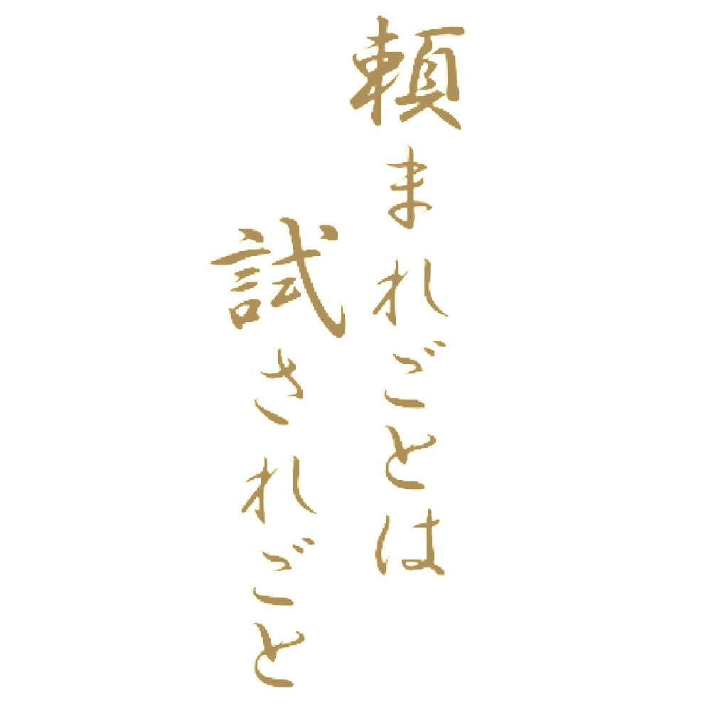 頼まれごとは試されごと 9