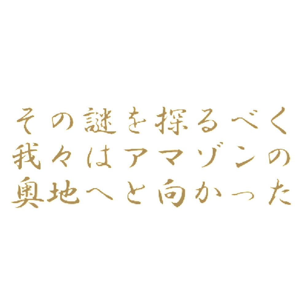 その謎を探るべく我々はアマゾンの奥地へと向かった 9