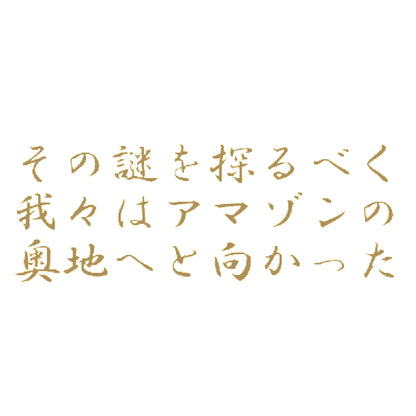 その謎を探るべく我々はアマゾンの奥地へと向かった 9