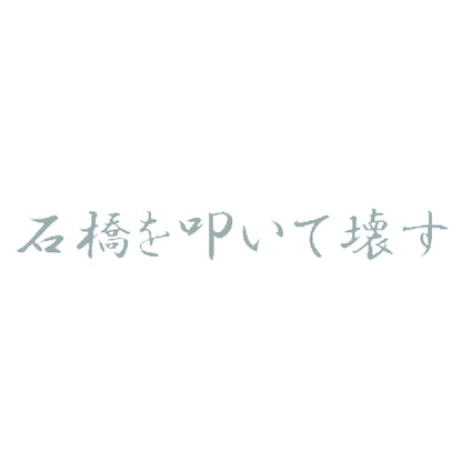 石橋を叩いて壊す 10