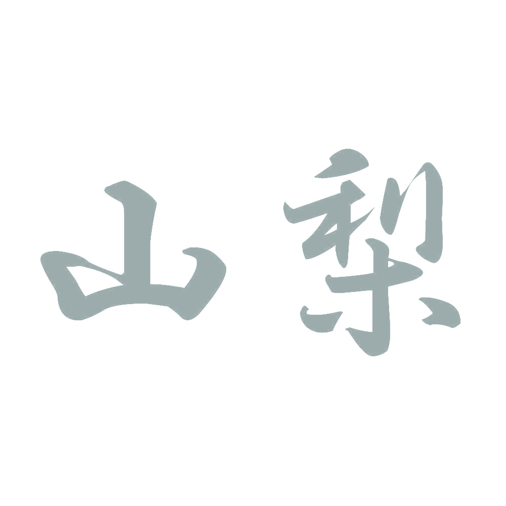 山梨 10