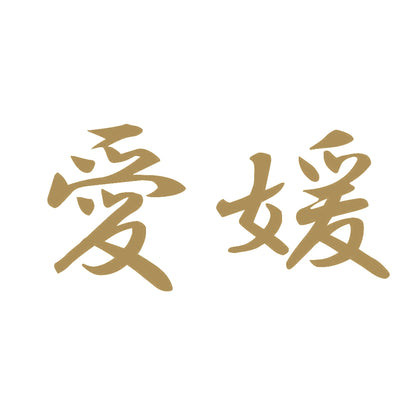 愛媛 9