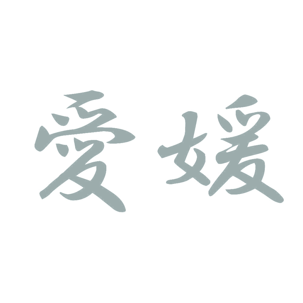 愛媛 10