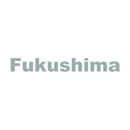Fukushima 10