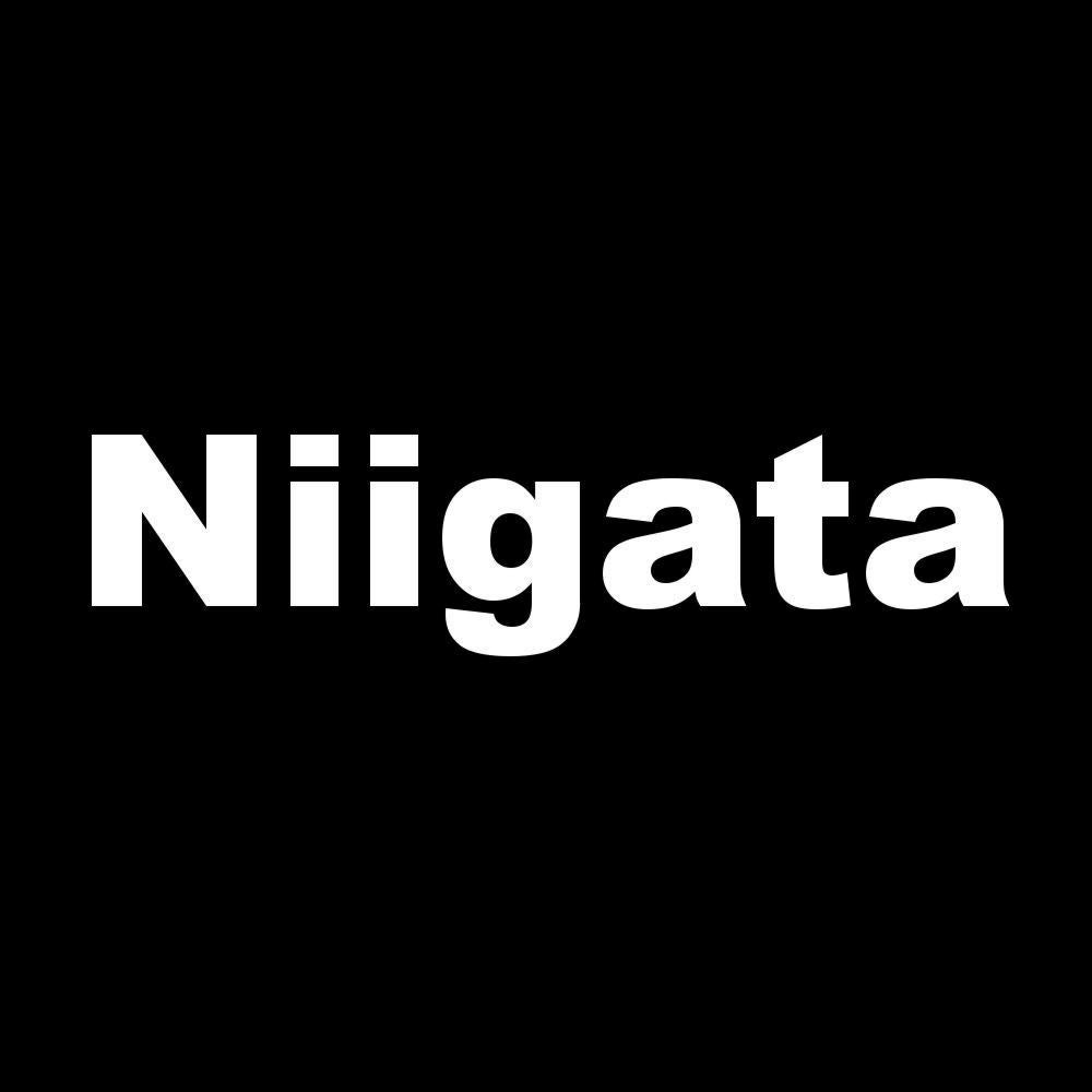 Niigata 7